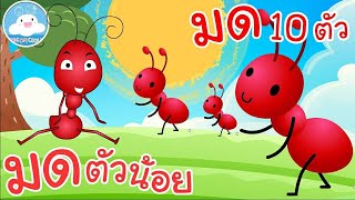 เพลงมดตัวน้อย & เพลงมด 10 ตัว เพลงเด็กน้อยวัยอนุบาล @KidsOnCloud