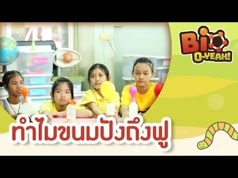 ทำไมขนมปังถึงฟู | Bio O-YEAH! [by Mahidol Kids]