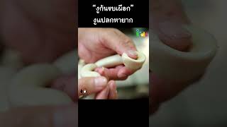 “งูก้นขบเผือก” งูแปลกหายาก #Shorts