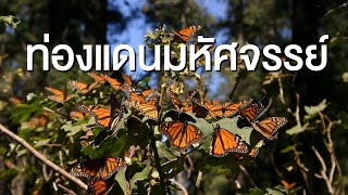 สารคดี สำรวจโลก ตอน ท่องแดนมหัศจรรย์