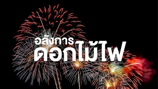 สารคดี สำรวจโลก ตอน อลังการดอกไม้ไฟ