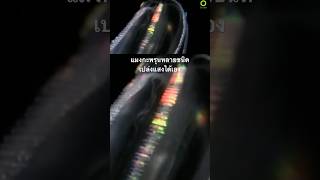 #สารคดี #สำรวจโลก #สารคดีสัตว์ #สารคดีสัตว์โลก #doxzilla #แมงกะพรุน #สัตว์ทะเล