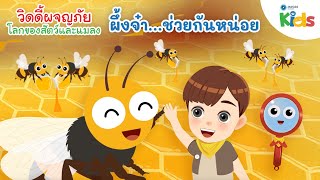 ผึ้งจ๋า...ช่วยกันหน่อย | วิดดี้ผจญภัย "โลกของสัตว์และแมลง"