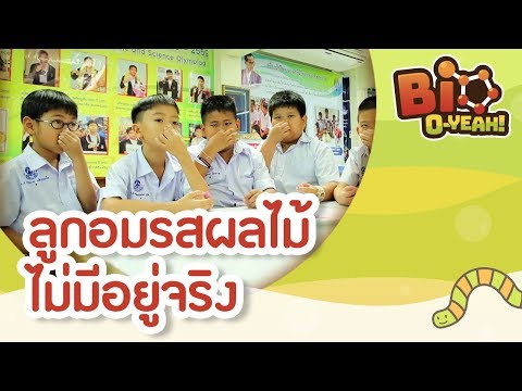 ลูกอมรสผลไม้ไม่มีอยู่จริง | Bio O-YEAH! [by Mahidol Kids]