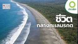 อัญมณีแห่งมหาสมุทรกับความลับของการกำเนิด | สารคดี สำรวจโลก