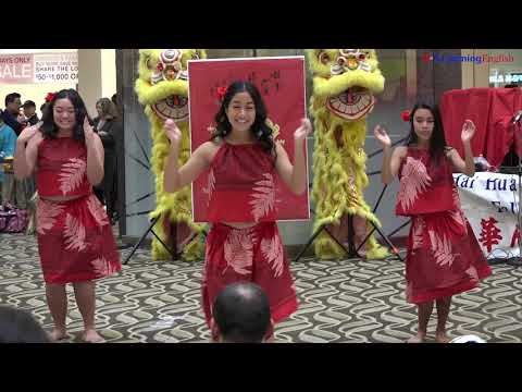 Lunar New Year Celebrated in the US