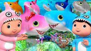 BABY SHARK +More Nursery Rhymes and Kids Songs! Little Baby Bum! Wheels On The Bus!