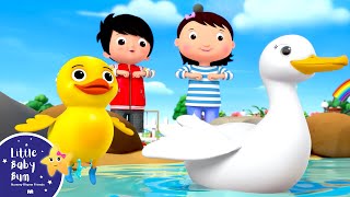 Five Little Ducks | Little Baby Bum - New Nursery Rhymes for Kids