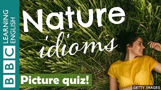A picture quiz about English idioms: Nature