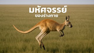 สารคดี สำรวจโลก ตอน มหัศจรรย์ของร่างกาย