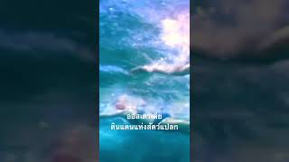 #สำรวจโลก #doxzilla #สารคดี #สารคดีสัตว์ #สัตว์มีพิษ #สัตว์โลกน่ารัก