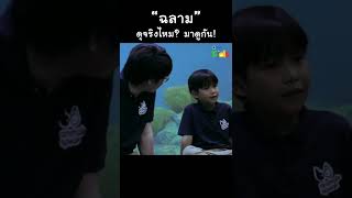 ฉลามดุจริงไหม มาดูกัน #shorts
