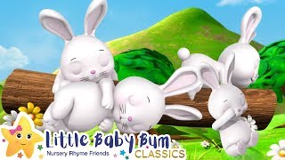 Sleeping Bunnies Song - Nursery Rhymes and Baby Songs | Songs For Kids | Little Baby Bum