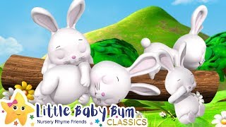 Sleeping Bunnies Song - Nursery Rhymes and Baby Songs | Songs For Kids | Little Baby Bum