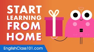 Our Absolute Beginner Course is now FREE for Everyone