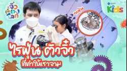EP.2 ไรฝุ่น ตัวจิ๋วที่ทำให้เราจาม ?? | จิ๋วส่องโลก