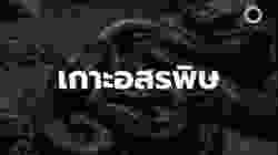 สารคดี สำรวจโลก ตอน เกาะอสรพิษ