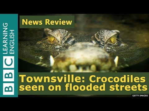 Townsville: Crocodiles seen in Australias flooded streets - BBC News Review