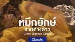 สารคดี หมึกยักษ์จากต่างดาว
