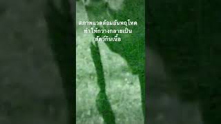 ดูสารคดีเต็ม กด Created from @nextstepwave #สำรวจโลก #สารคดี #doxzilla