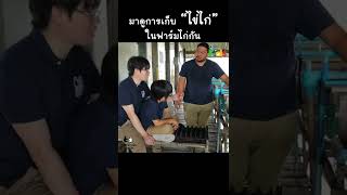 มาดูการเก็บ "ไข่ไก่" สดจากฟาร์ม #shorts