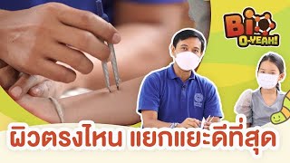 ผิวตรงไหน  แยกแยะดีที่สุด | Bio O-YEAH!