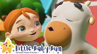 Old Macdonald Song | Brand New Nursery Rhyme & Kids Song - 영어동요 모음  | Little Baby Bum
