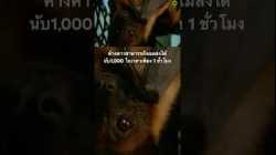 #สารคดี #สำรวจโลก #doxzilla #สารคดีสัตว์ #สารคดีสัตว์โลก