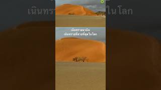 #สำรวจโลก #doxzilla #สารคดี #สารคดีสัตว์ #ทะเลทราย #ทะเลทรายนามิบ