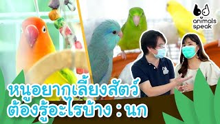 หนูอยากเลี้ยงสัตว์ ต้องรู้อะไรบ้าง : นก | Animals Speak