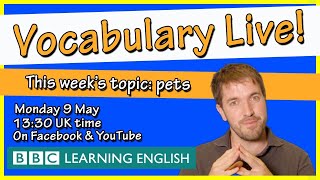 Vocabulary live: pets