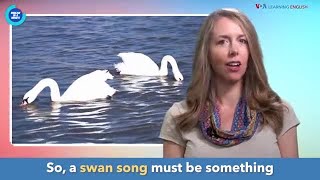 English in a Minute: Swan Song