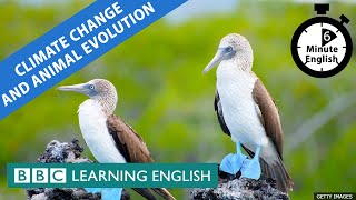 Climate change and evolution - 6 Minute English