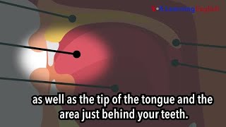 How to Pronounce: Sounds Made with the Tip of the Tongue