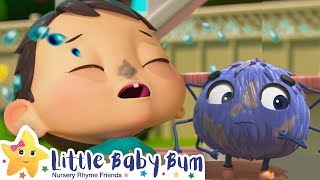 Itsy Bitsy Spider Song Song | Nursery Rhymes | Baby Songs | Kids Song | Little Baby Bum