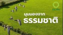 สารคดี สำรวจโลก มุมมองจากธรรมชาติ