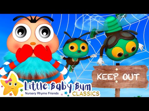 Itsy Bitsy Spider Song | Nursery Rhymes and Kids Songs | Baby Songs | Little Baby Bum