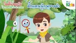ตั๊กแตนนักพรางตัว | วิดดี้ผจญภัย "โลกของสัตว์และแมลง"