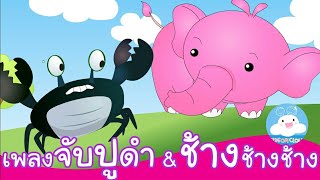 เพลงจับปูดำขยำปูนา & เพลงช้างๆๆ น้องเคยเห็นช้างหรืเปล่า เพลงเด็กสนุกๆ by KidsOnCloud