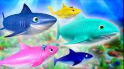 Shark Songs! ?? Sing Along Collection | Little Baby Bum