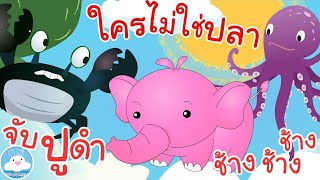 เพลงจับปูดำ เพลงช้างช้างช้าง เพลงใครไม่ใช่ปลา เพลงเด็กน้อยวัยอนุบาล @KidsOnCloud