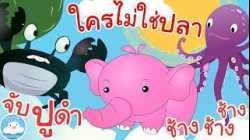 เพลงจับปูดำ เพลงช้างช้างช้าง เพลงใครไม่ใช่ปลา เพลงเด็กน้อยวัยอนุบาล @KidsOnCloud