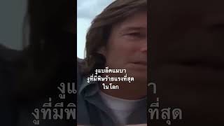 #สำรวจโลก #สารคดีสัตว์โลก #doxzilla #snake