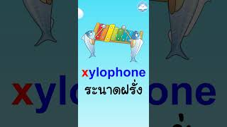 5 คำศัพท์อังกฤษง่ายๆ ใกล้ตัววัยอนุบาล หมวด X สอนออกเสียงแบบ phonics