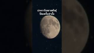 #ประการัง #สำรวจโลก #สำรวจโลก #สารคดี @nextstepwave