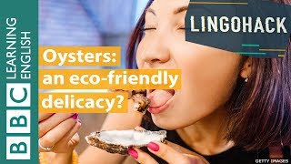 Oysters: an eco-friendly delicacy? Watch Lingohack