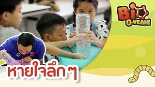 หายใจลึก ๆ | Bio O-YEAH! [Mahidol Kids]