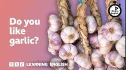 Do you like garlic? ⏲️ 6 Minute English