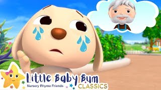 Animal Rescue Song! Stem Learning Videos +More Nursery Rhymes - ABCs and 123s | Little Baby Bum