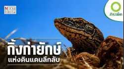 กิ้งก่ายักษ์ 6 เมตรอาจยังซ่อนตัวในออสเตรเลีย? | สารคดี สำรวจโลก ตอน ตำนานกิ้งก่ายักษ์